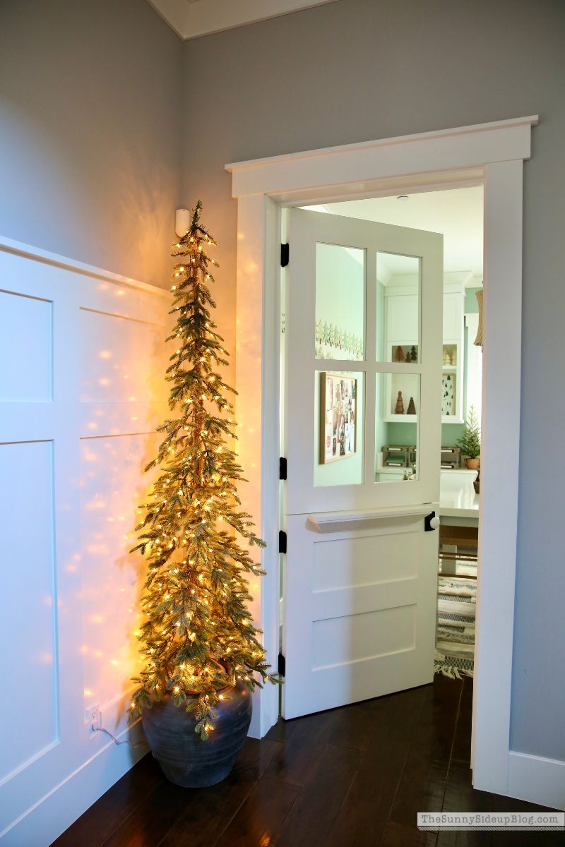 Christmas Trees (Sunny Side Up)