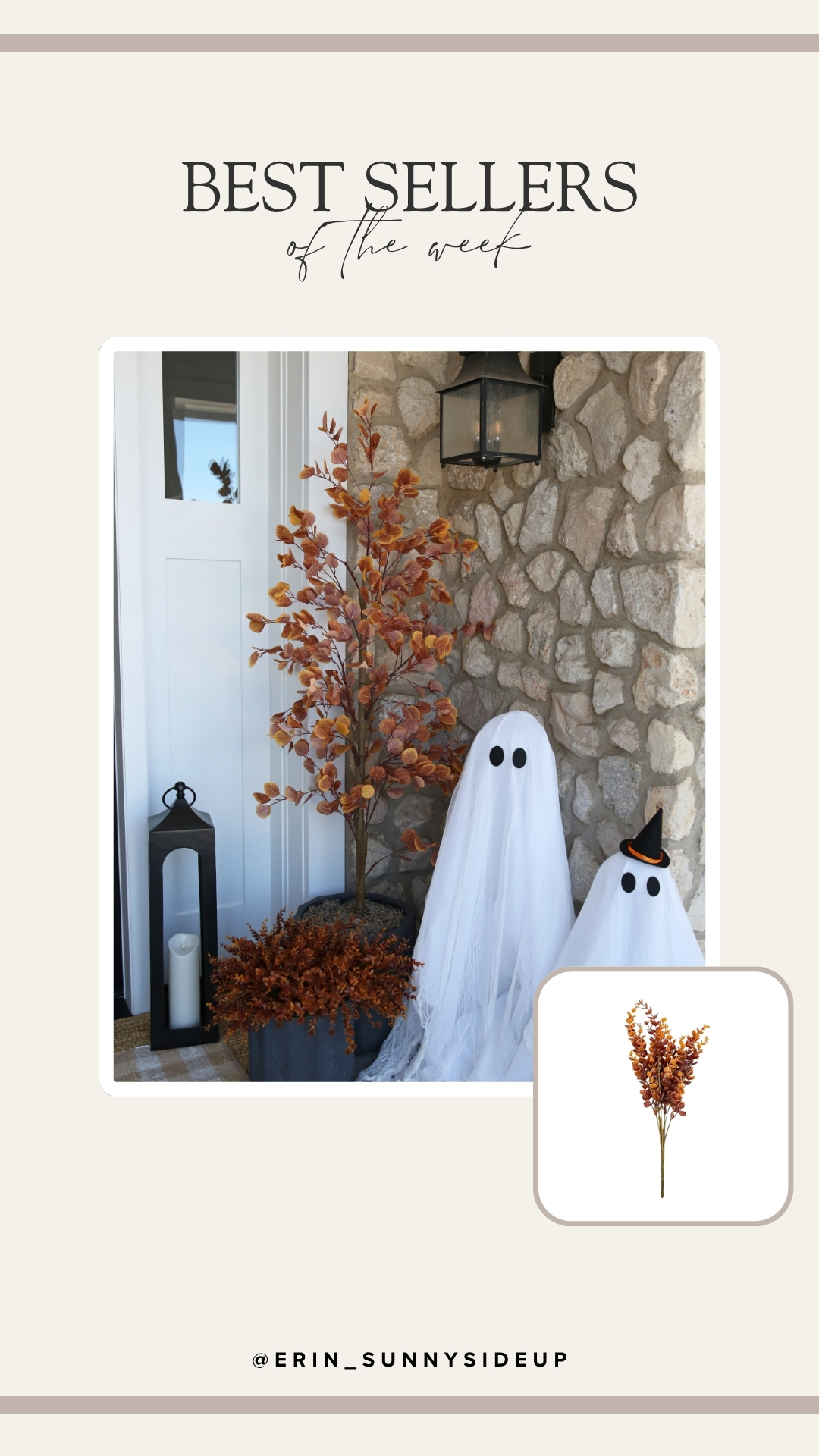 Sunday Edit (Sunny Side Up Blog)