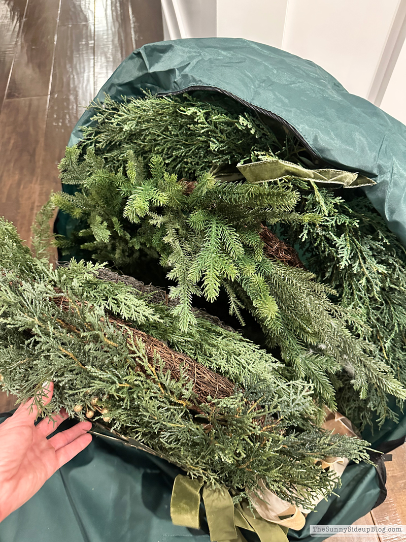 Holiday (Sunny Side Up)