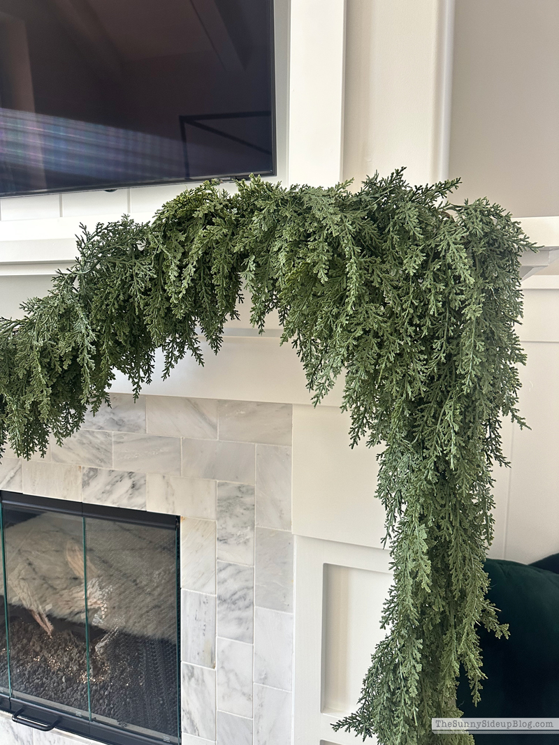 Holiday Favorites (Sunny Side Up)