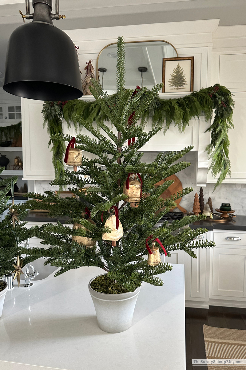 Black Friday Sales (Sunny Side Up)