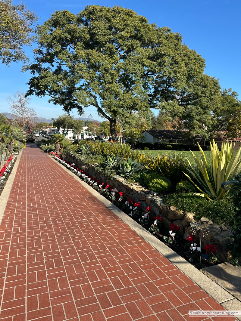 December Happenings (Sunny Side Up)