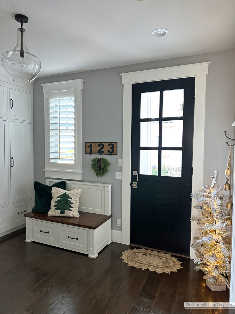 2025 Christmas Home Tour (Sunny Side Up)