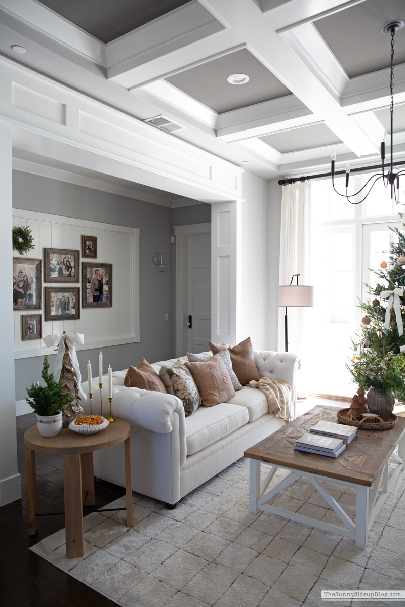 2025 Christmas Home Tour (Sunny Side Up)