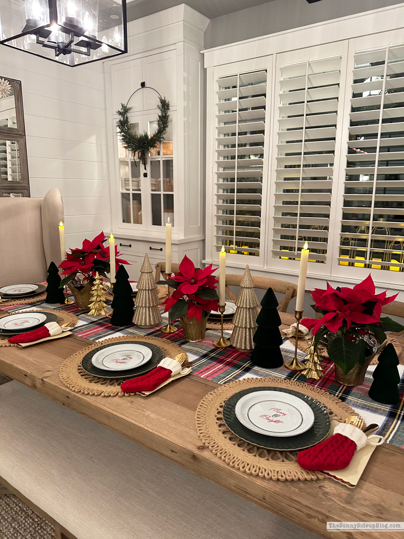 2025 Christmas Home Tour (Sunny Side Up)