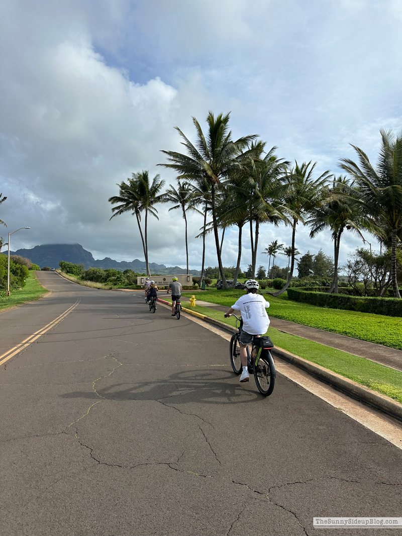 Happy 2026! (Sunny Side Up)