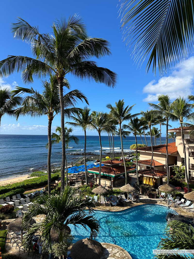 Happy 2026! (Sunny Side Up)