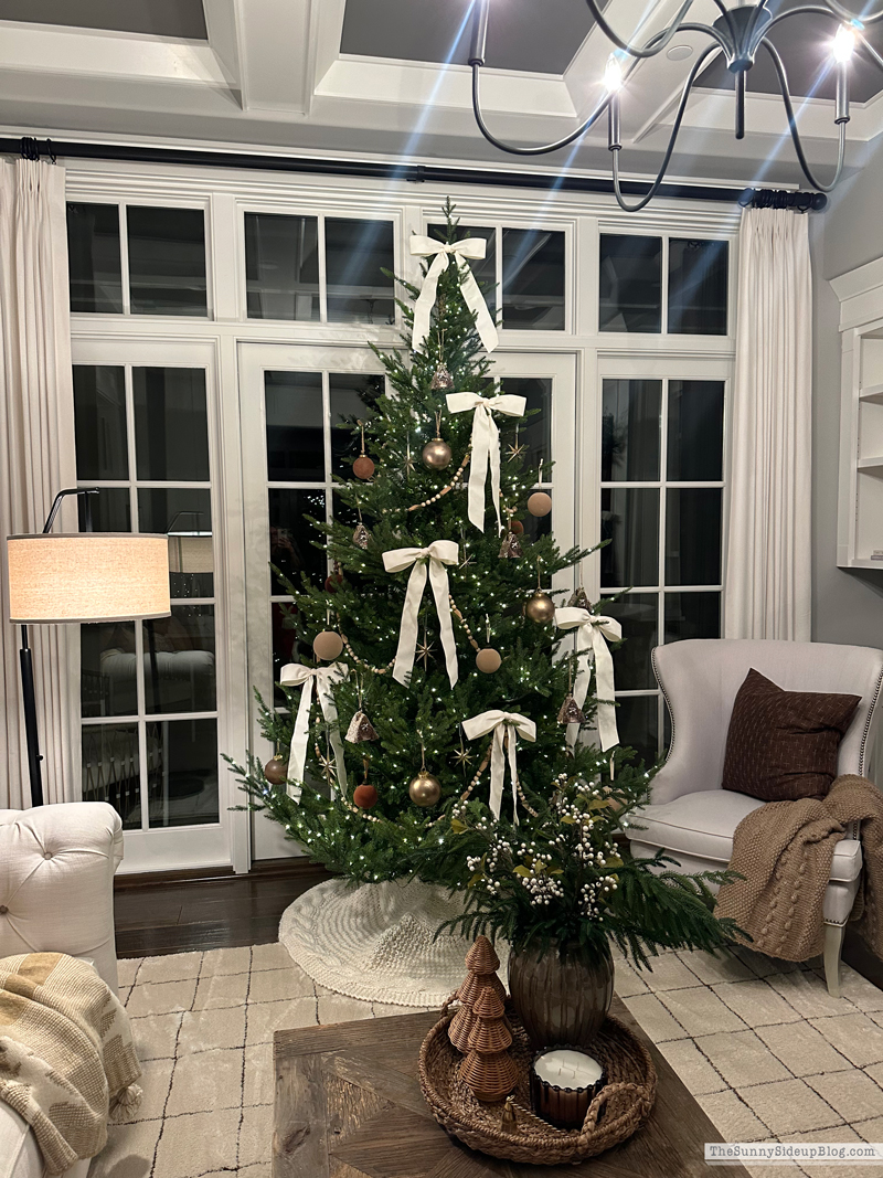 Happy 2026! (Sunny Side Up)