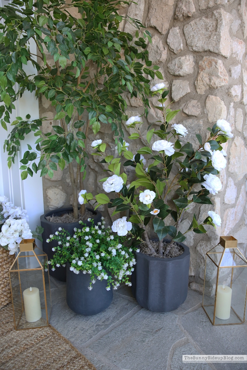 Spring Favorites (Sunny Side Up)