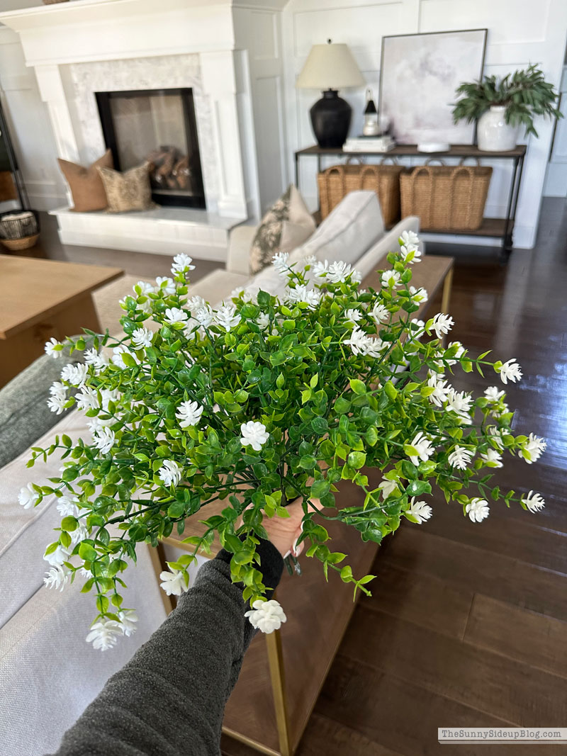 Spring Favorites (Sunny Side Up)