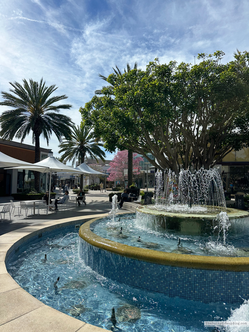 Saturday 6 (Sunny Side Up)