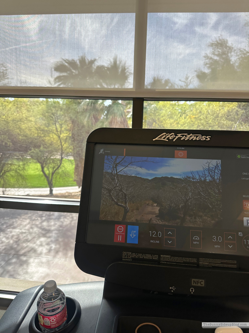 Saturday 6 (Sunny Side Up)