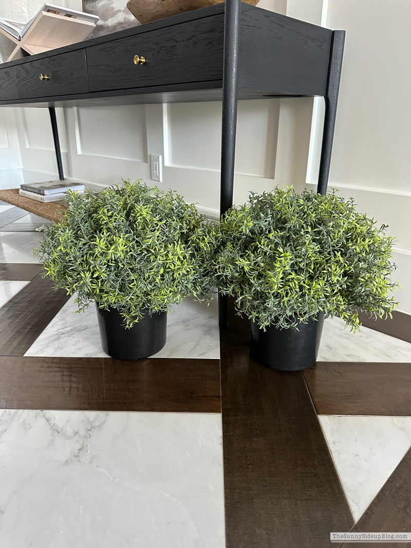 Saturday 6 (Sunny Side Up)