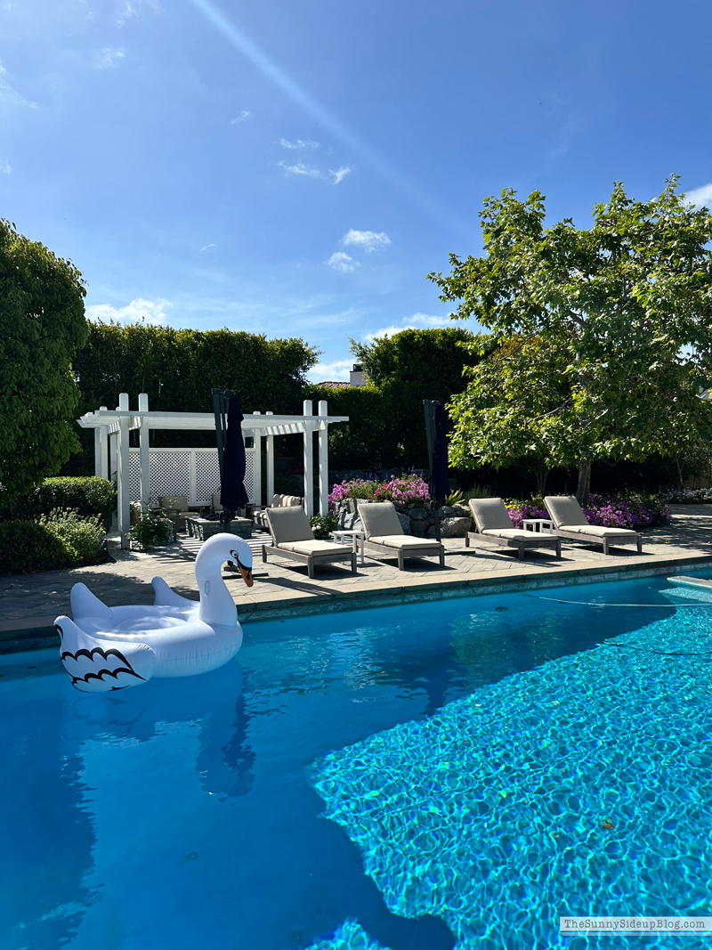 Spring Fashion (Sunny Side Up)