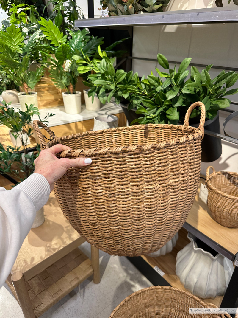 Target Summer Drop 2026 (Sunny Side Up)