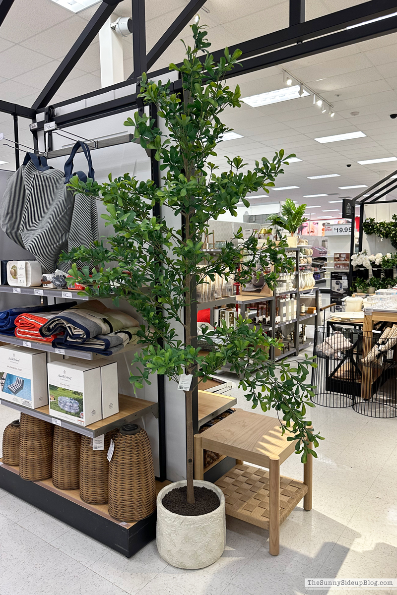 Target Summer Drop 2026 (Sunny Side Up)