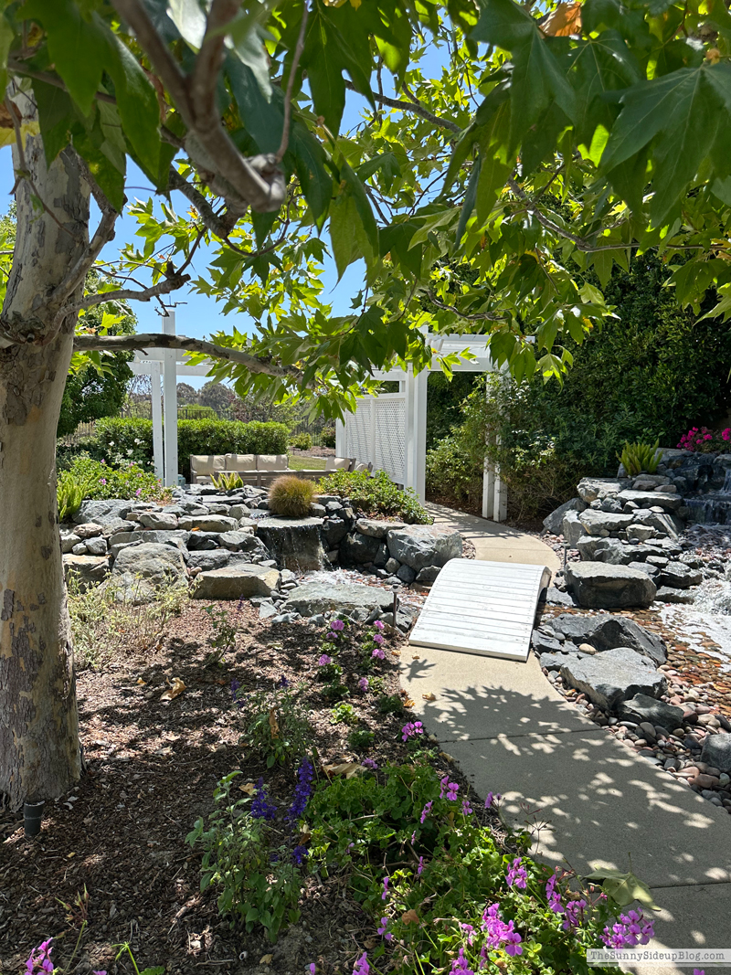 Outdoor Area Re-fresh (Sunny Side Up)