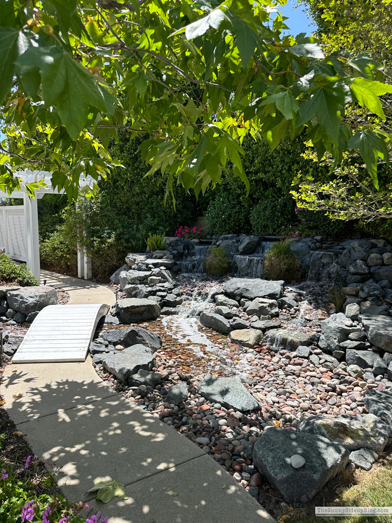 Outdoor Area Re-fresh (Sunny Side Up)