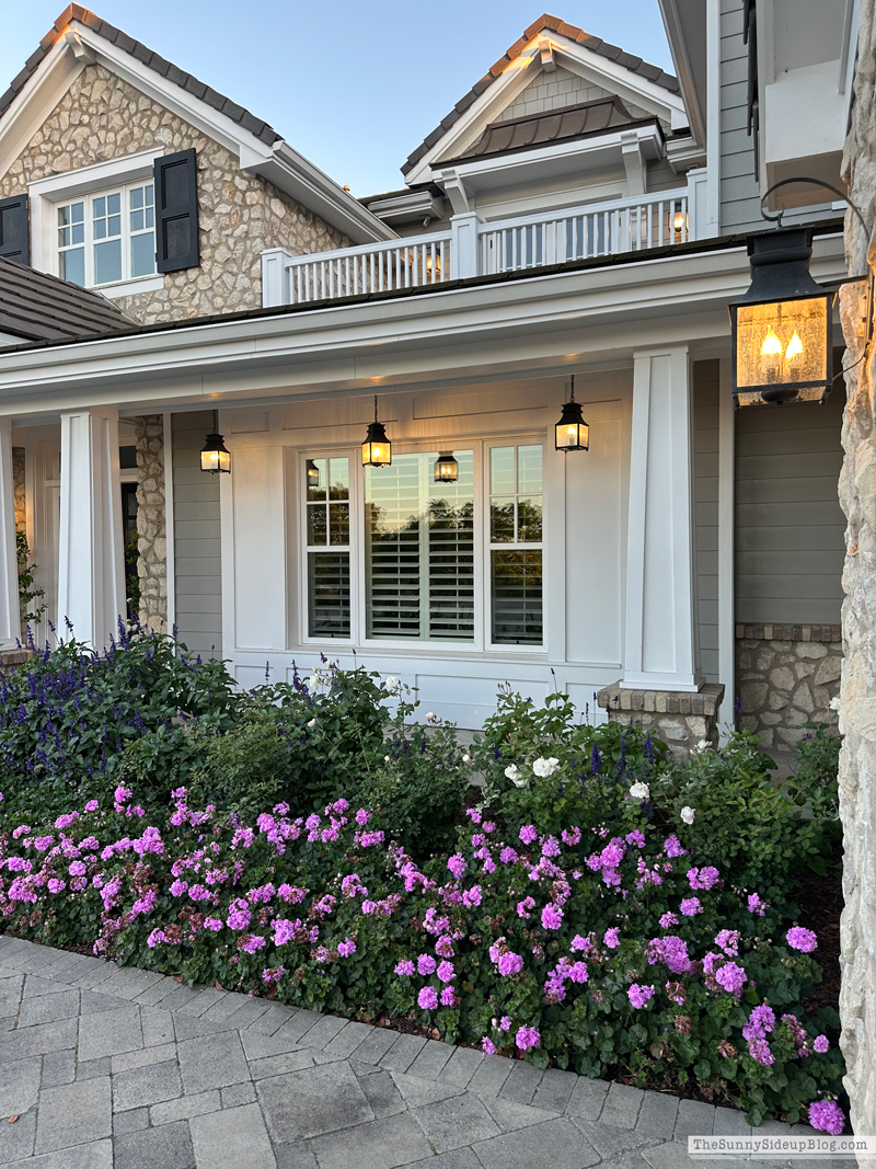 Target Summer Drop 2026 (Sunny Side Up)