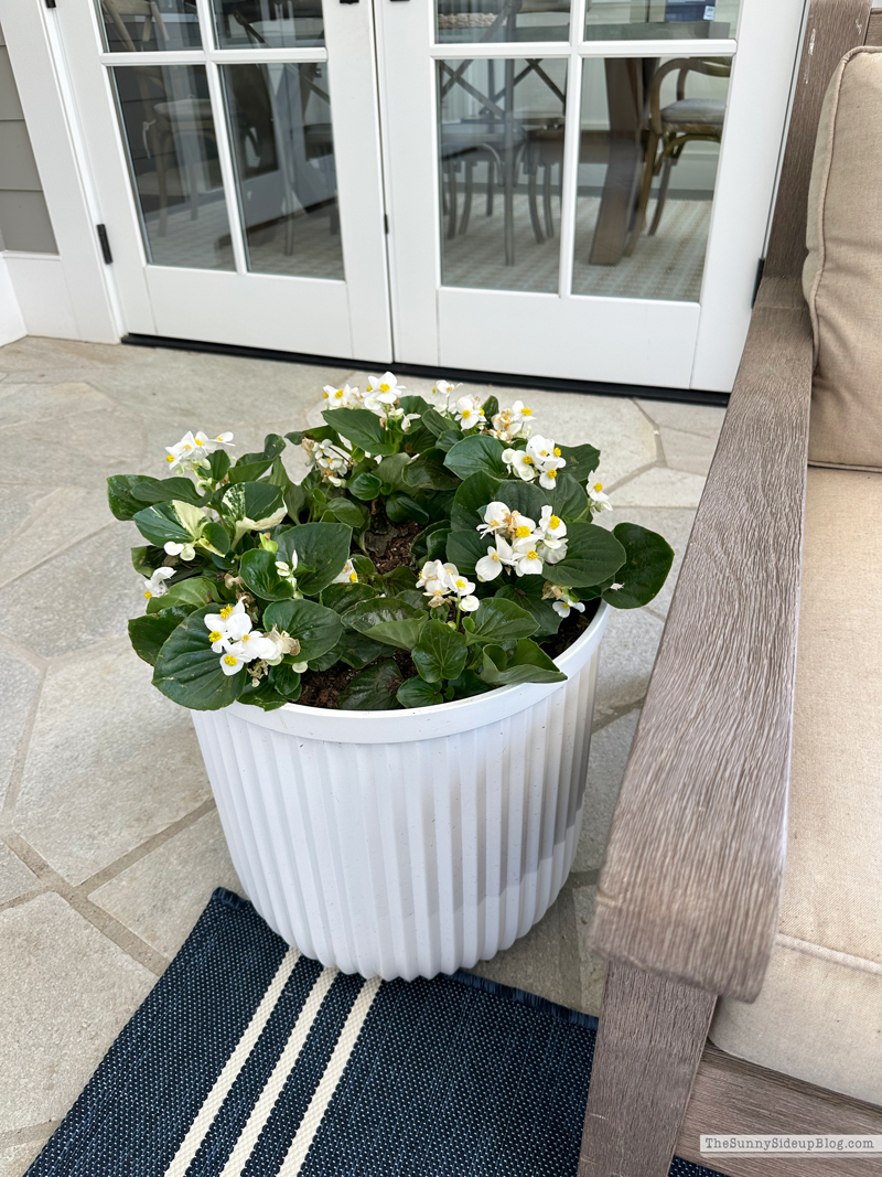 Outdoor Area Re-fresh (Sunny Side Up)