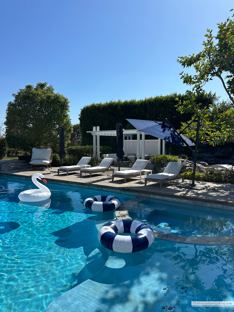 Pool Floats (Sunny Side Up)