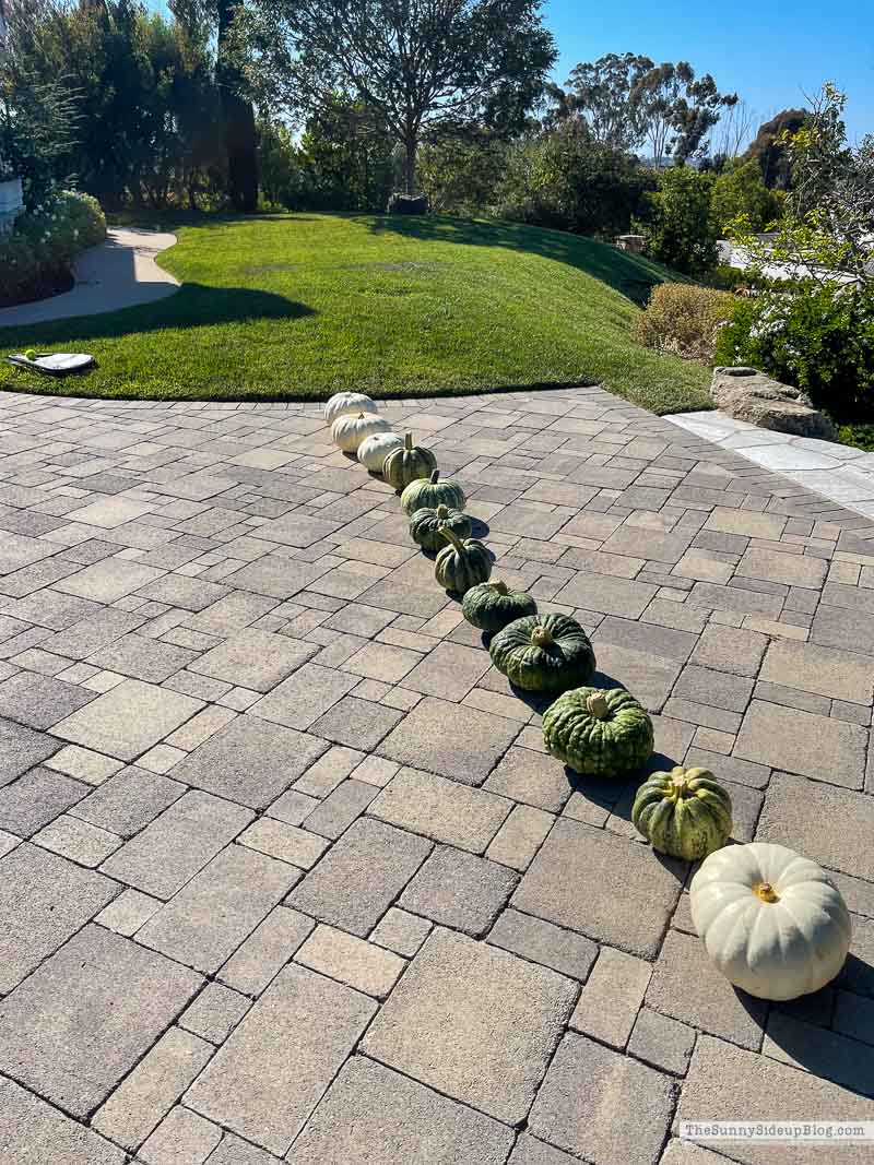 Fall/Halloween Porch Ideas (Sunny Side Up)
