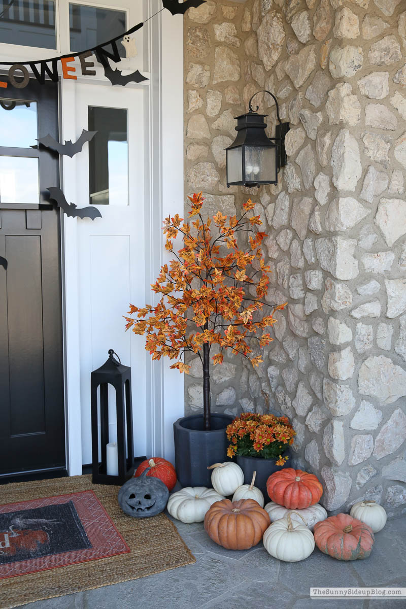 Fall/Halloween Porch Ideas (Sunny Side Up)
