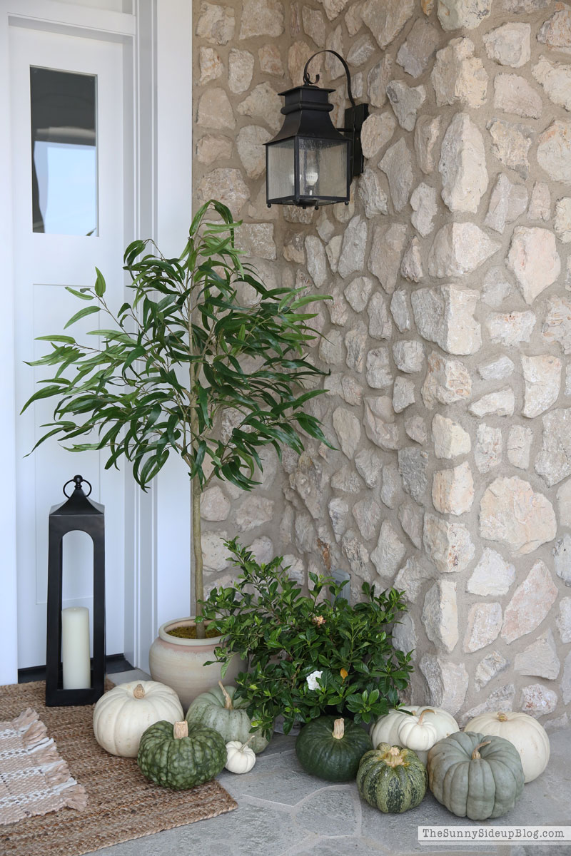 Fall/Halloween Porch Ideas (Sunny Side Up)