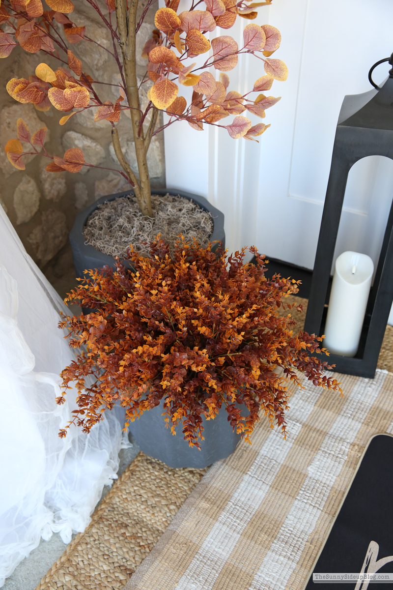 Fall/Halloween Porch Ideas (Sunny Side Up)
