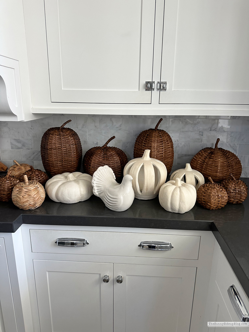 Woven Pumpkins (Sunny Side Up)