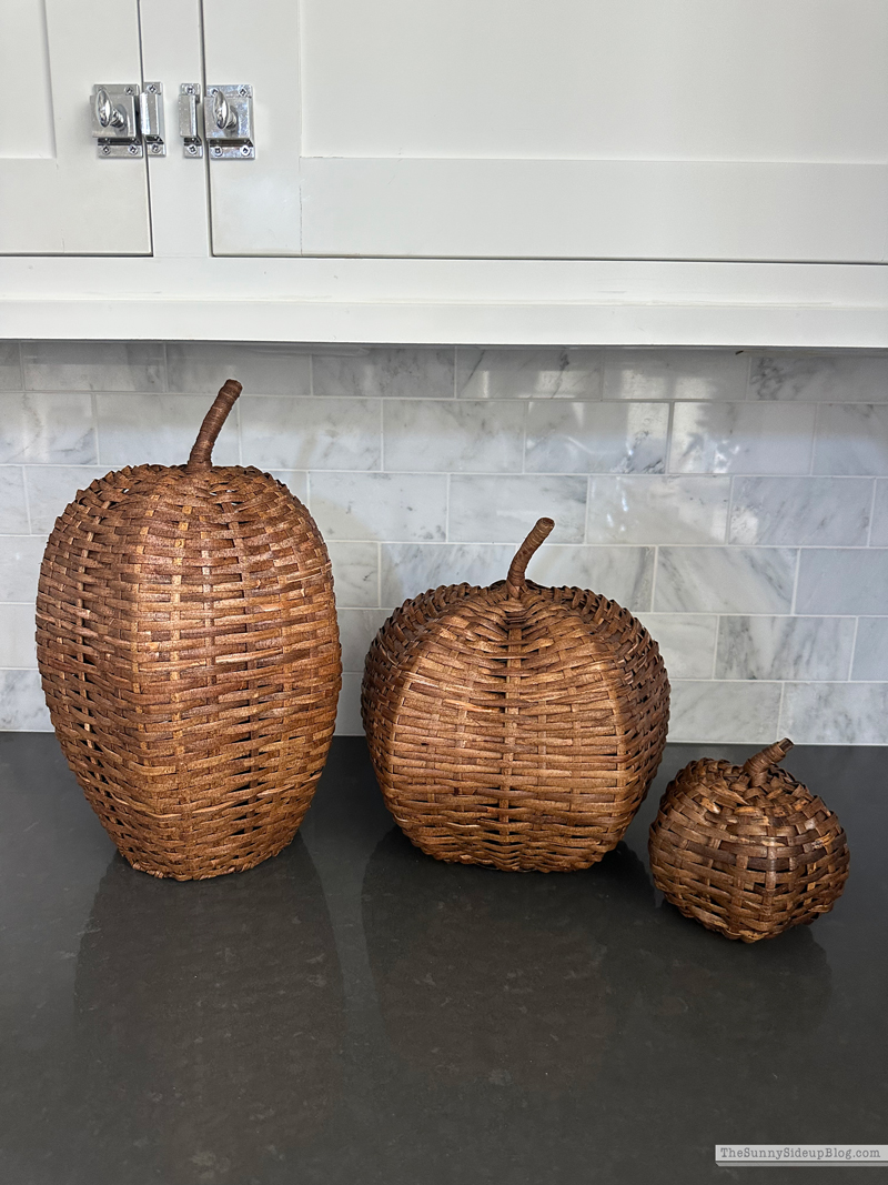 Woven Pumpkins (Sunny Side Up)