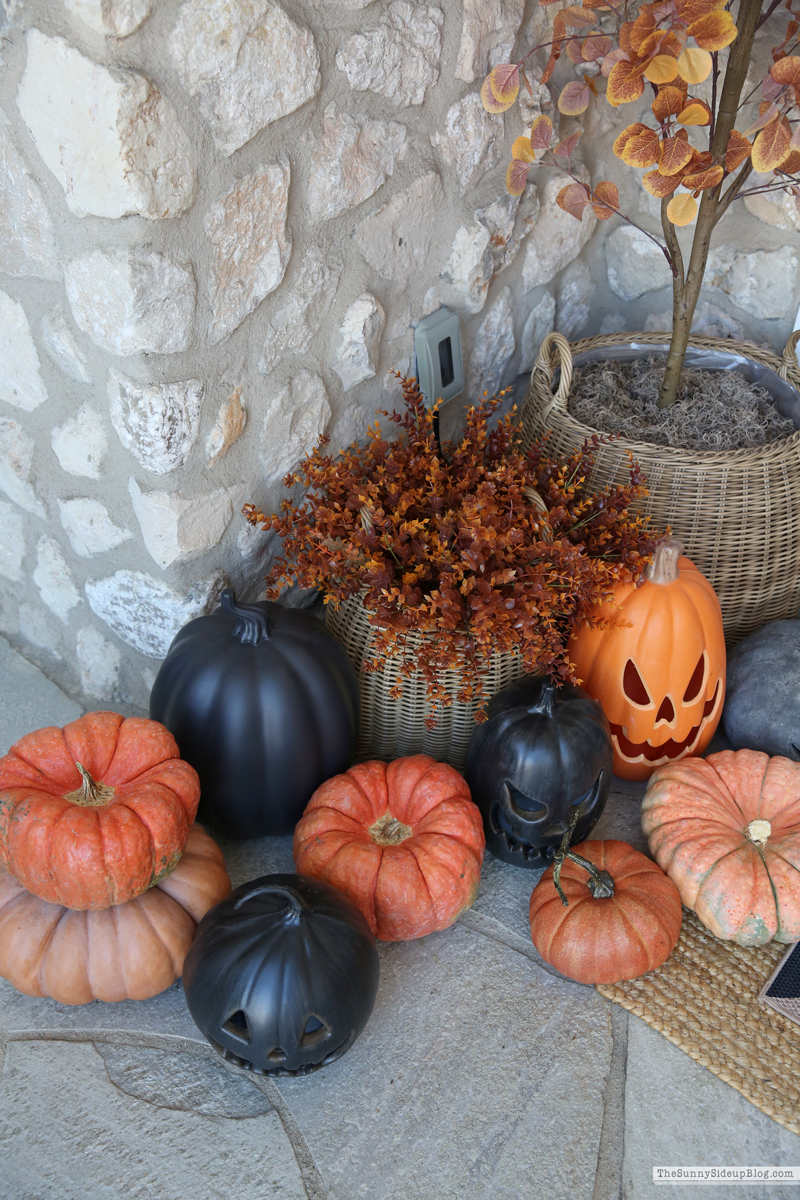 Halloween Porch (Sunny Side Up)