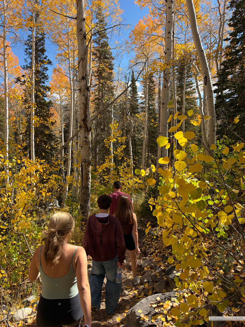 Park City (Sunny Side Up)